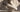 How to Adjust Strap-On Dildo Angle: Mounting Height, Panel Position and Fit