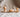 Strap-On Dildo Base Types Explained
